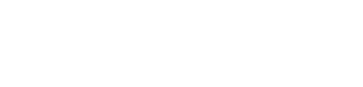INTELLIGENT – SKIOS